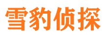 九台外遇调查取证